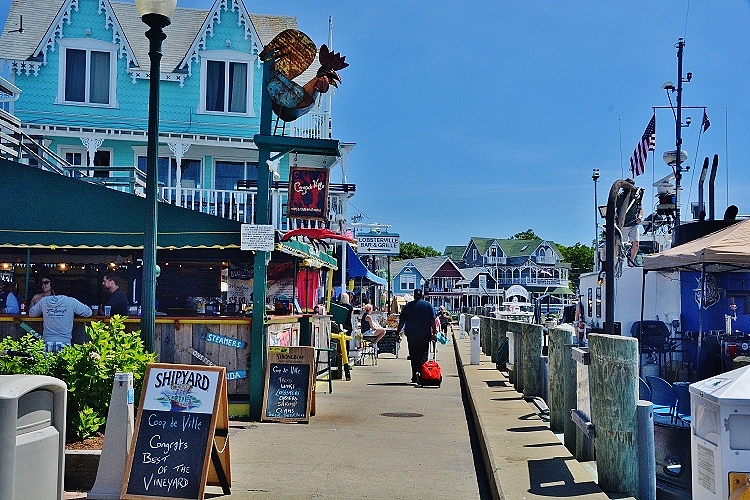 Oak Bluffs harbor businesses